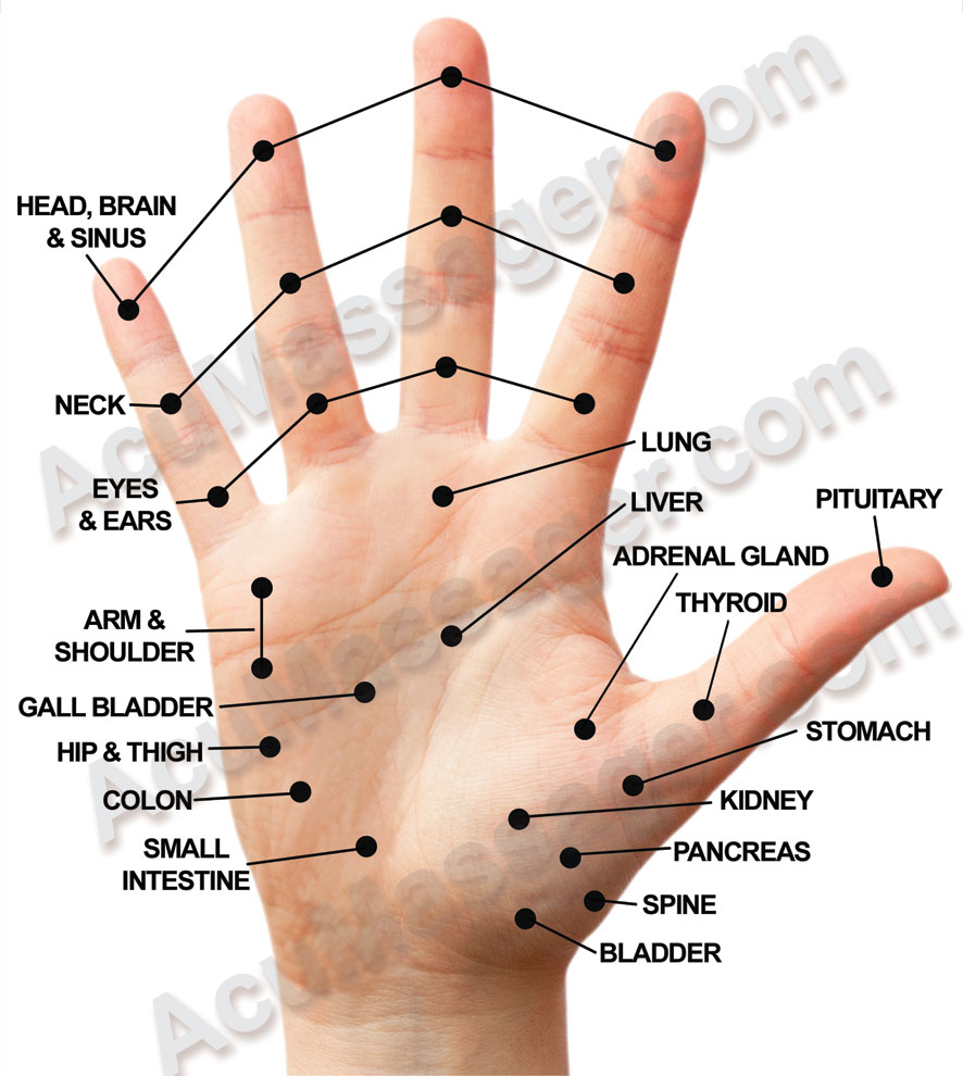 All Pressure Points In The Human Body That Hurt